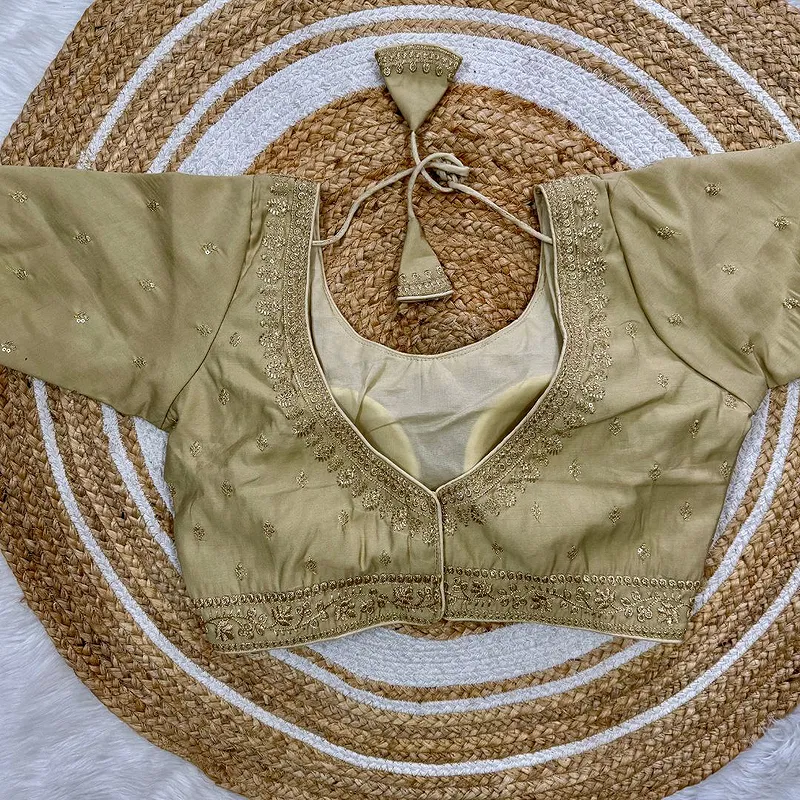 Beige Roman Silk Thread Work Partywear Blouse