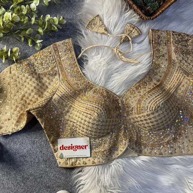 Sabyasachi inspired Chiku Bridal Hand Work Georgette Blouse 