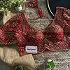 Red Handwork Beads Partywear Sabyasachi Neck Blouse in Pure Fox Georgette